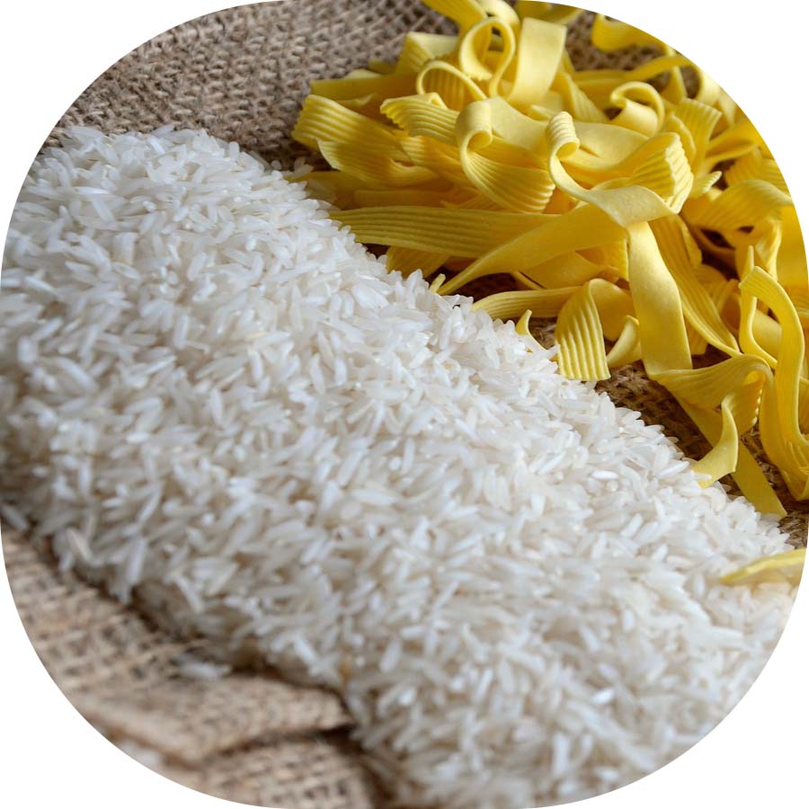 Flour and Rice noodles